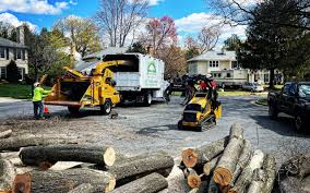 Reliable Roxana, IL Tree Care Services Solutions